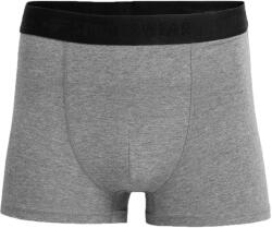 4F Férfi boxeralsó, Men's Briefs, szürke M szürke