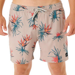 Rip Curl Paradiso Volley férfi rövidnadrág 5067 XL bézs