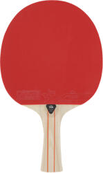 STIGA Evolve 1-csillagos asztalitenisz ütő Anatómiai fekete|vörös