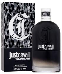 Just Cavalli Wild Heart for Him EDT 90 ml