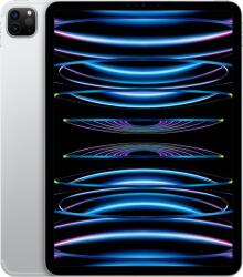 Apple iPad Pro 11 2022 2TB Cellular 5G MNYM3