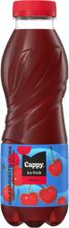 Cappy Ice Fruit Meggy szénsavmentes üdítőital meggylé sűrítményből cukorral, édesítőszerekkel 500 ml - ecofamily