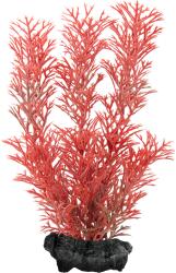 Tetra Műnövény Tetra Red Foxtail L
