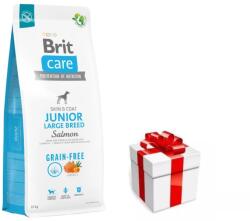 Brit BRIT CARE Dog Gabonamentes Junior nagytestű lazac 12kg + Meglepetés A Kutyádnak Ingynes