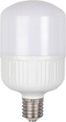 Total Green Bec LED 40W E40 6500K (EL0044654) - materialeelectrice