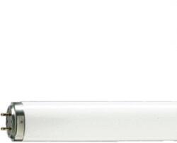 Philips Tl 20w/12 Rs Uv-b (928010001201)