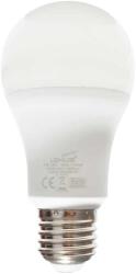 Lohuis Lighting Bec LED LOHUIS, forma A60, E27, 15W, 25000 ore, lumina rece (5948668029405)