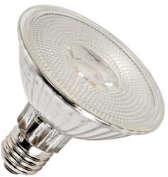 Schrack PAR30 lampa, 12W, COB LED, 4000K, 38°, Dim 3 trepte (LI551934)