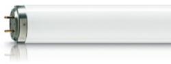 Philips Actinic BL TL 40W/10 (928011301020)