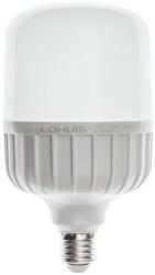 Lohuis Lighting Bec LED T100 LOHUIS, forma tubulara, E27, 30W, 25000 ore, lumina rece (5948668029009)