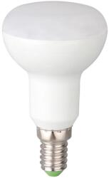 Total Green Bec LED Spot R39 4W E14 5000K (EL0056822) - materialeelectrice