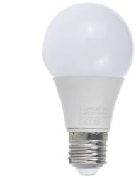 Lohuis Lighting Bec LED LOHUIS, forma A60, E27, 5W, 30000 ore, lumina rece (5948668021362)