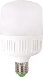 Total Green Bec LED 40W E27 6500K (EL0038668) - materialeelectrice