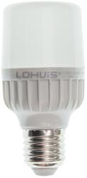Lohuis Lighting Bec LED T50 LOHUIS, forma tubulara, E27, 6W, 25000 ore, lumina rece (5948668028927)