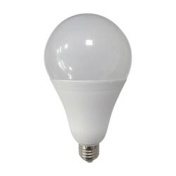 SPN Bec Led E27, model glob A95, 24W=180W, 6500K, lumina rece, ore functionare 15.000 (SPNDL65059)