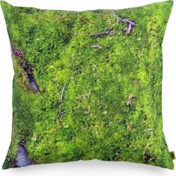 Foonka Pernă cu coji de hrișcă Foonka mușchi 40 x 40 cm (pg-40-m)