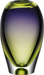 Kosta Boda Vază Vision 25, 5 cm (7041117)