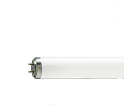 Philips Tl 20w/52 (928003505203)