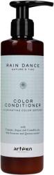 ARTEGO Balsam pentru par vopsit, Artego Rain Dance Color, 250 ml