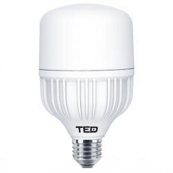 TED Electric Bec LED E27, 30W 6400K T100 2450lm, TED (A0059767)