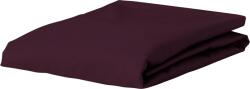 Essenza Cearșaf cu elastic Minte 160 x 200 cm vișiniu închis (401244-103-044)