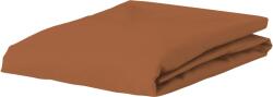 Essenza Cearșaf cu elastic Minte 90 x 210 cm maro (401244-103-076)
