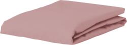 Essenza Cearșaf cu elastic Minte 80 x 200 cm roz (401244-103-006)