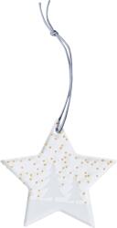 Raeder Accesoriu de agățat pentru sărbători Ice Star cu brazi 8, 5 cm (C92223)