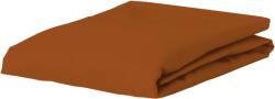 Essenza Cearșaf cu elastic The Perfect Organic Jersey 160 x 200 cm maro (409587-103-041)