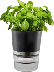Gefu Ghiveci mic pentru mirodenii Botanico (G-18920)