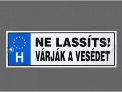 CQ Kft Rendszámtábla Ne lassíts Várják a vesédet 33x11cm (1500145)