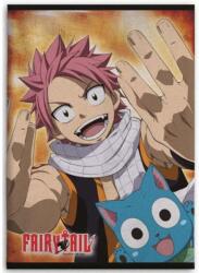 Javoli Fairy Tail Happy polár takaró 100x140cm (AYM073539)