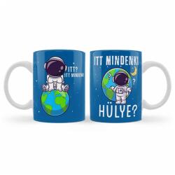 Nevesajándék Bögre 3 dl - Itt mindenki hülye? Itt mindenki Vicces Bögre (B1004)
