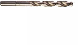 Milwaukee 4932352401 Burghiu