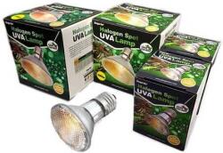 Giangarden Halogen Spot UVA Lamp (50 Watt)