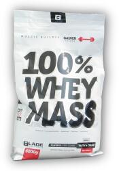 Hi Tec Nutrition BS Blade 100% Whey Mass Gainer 6000g - kókuszdió