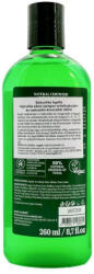 Babushka Agafia bio hajhullás elleni sampon (erdeibojtorján és vadcsalán kivonattal) 260ml
