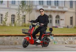 RDB Scuter Electric RDB ROMA 600W fara permis 25km/h gri (RDB-ROMA-Gri) - agropro