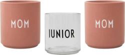 Design Letters Căni Family Gift Box Rainbow Mom 3 buc (10101010RAINBOWMOM)