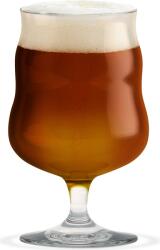 Holmegaard Pahare pentru bere Mikkeller 2 buc (4300542) Pahar
