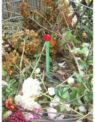 Nature Komposzt thermometer 32cm