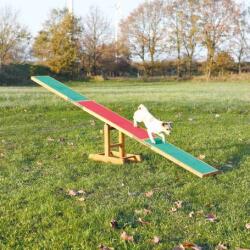 TRIXIE Dog Sport - Rampă pentru agilitate (Suportă până la 80 kg; 300 x 54 x 34 cm) (3213)