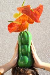 Fluid Market Декоративна ваза Pea vase (AAVSEPEA)