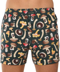 Cornette Férfi bő szárú boxeralsók Cornette Classic többszínű (001/165) XL