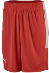 PUMA Basketball Game Short Spectra L