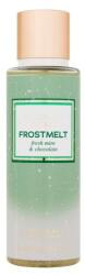 Victoria's Secret Frostmelt 250 ml testpermet nőknek
