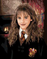 Zuty Picturi pe numere Portretul lui Hermione (Harry Potter) (M10-040-050-500389) Carte de colorat