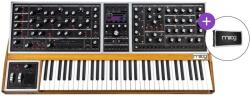 Moog One - 16 SET Sintetizator (MOG- ONE-002-06-SET)