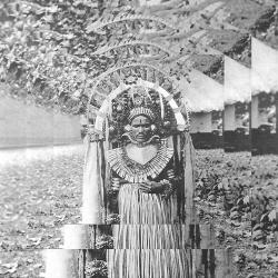 Musci, Roberto Goodbye Monsters