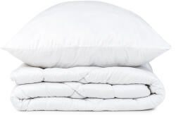 4home Aloe Vera paplan párna szett, 140 x 220 cm, 70 x 90 cm